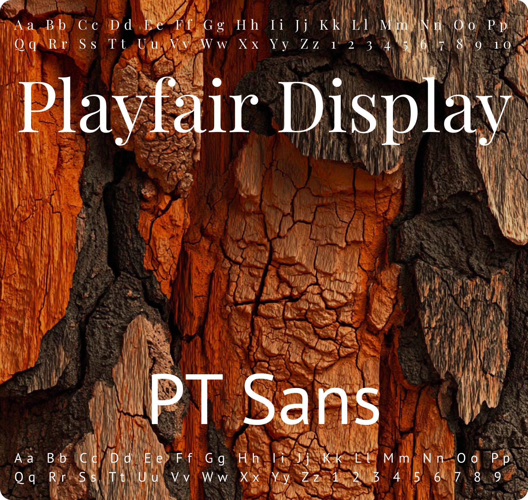 fonts1